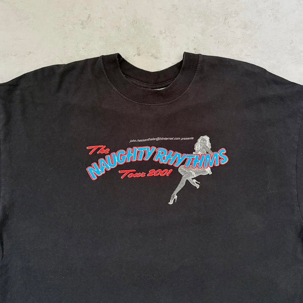 Vintage 2001 Naughty Rhythms Tour Band T-Shirt