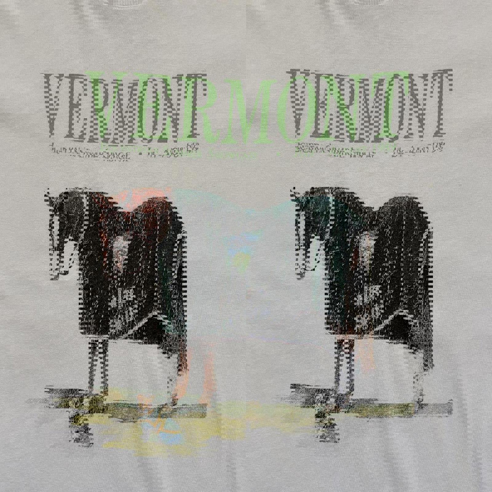 Vintage 1989 Vermont Equestrian T-Shirt