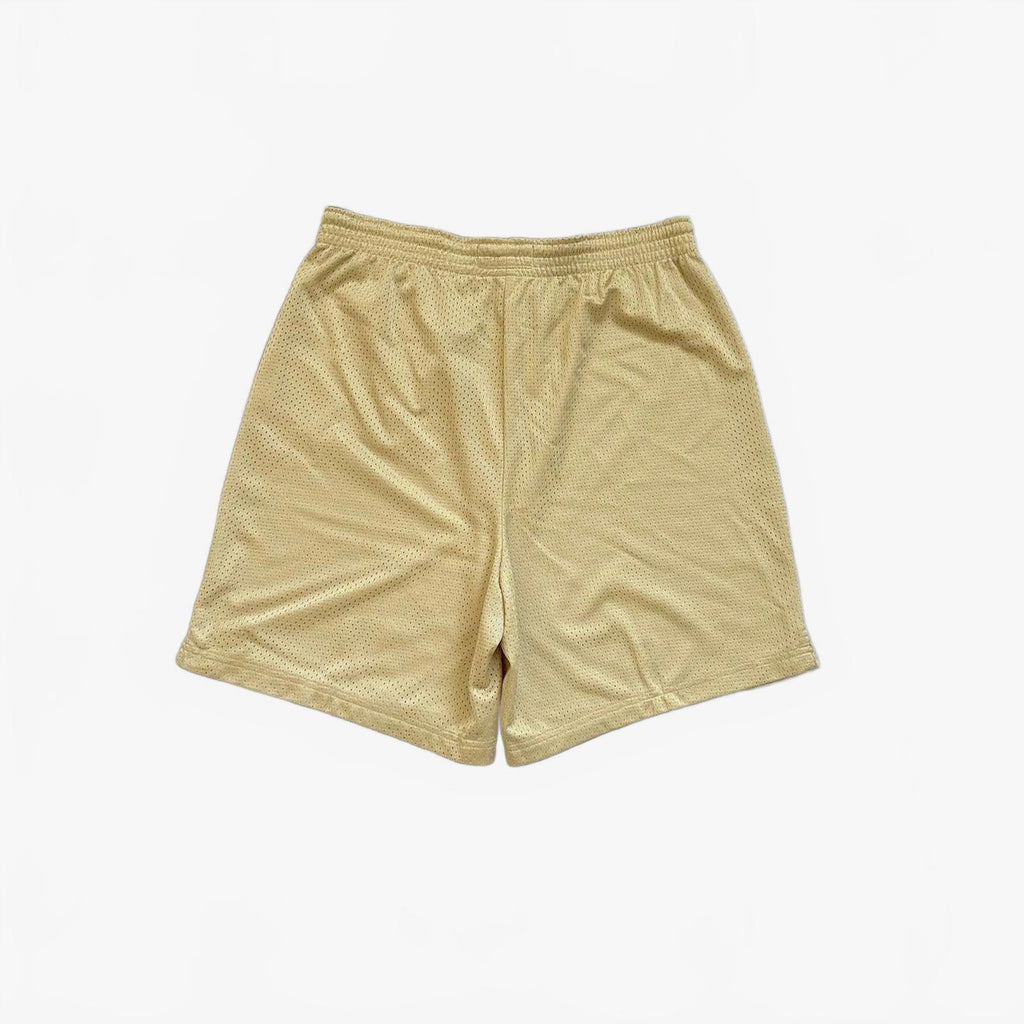 2000s Champion Pitt Mesh Shorts / M