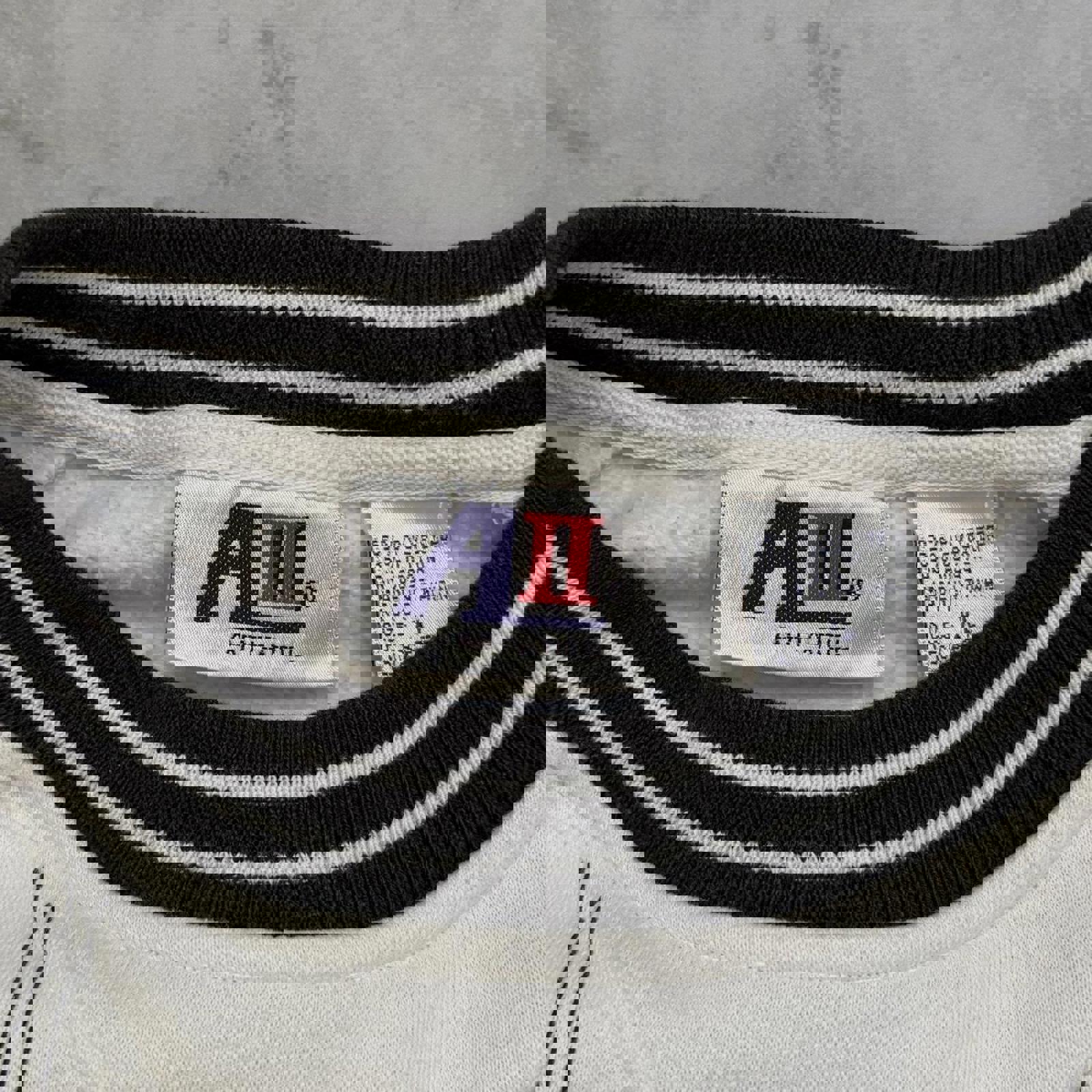 Vintage 1990’s Central Missouri Pinstripe Sweatshirt