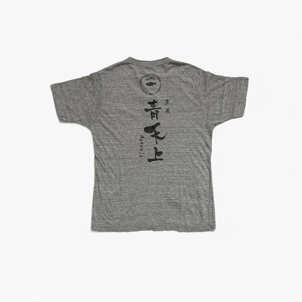 Japanese Tri Blend Henley T-Shirt / S