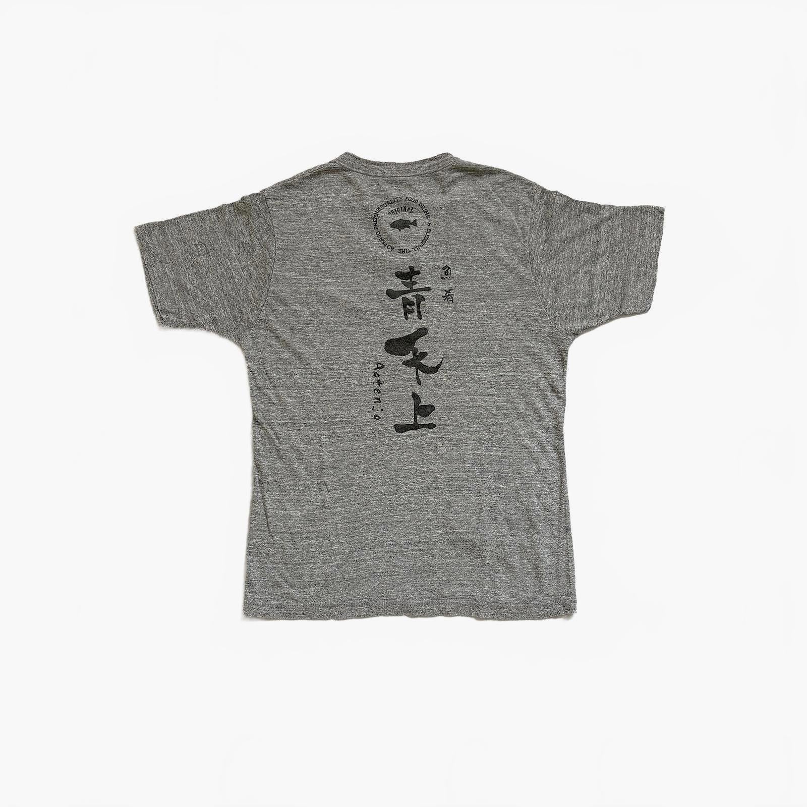 Japanese Tri Blend Henley T-Shirt / S